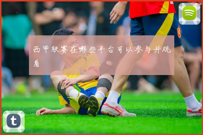 西甲联赛在哪些平台可以参与并观看