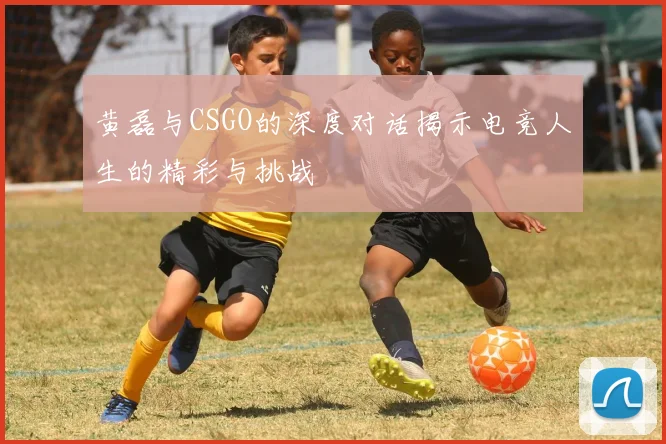 黄磊与CSGO的深度对话揭示电竞人生的精彩与挑战
